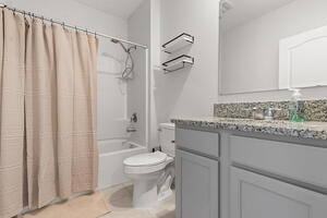 Primary hallway bathroom