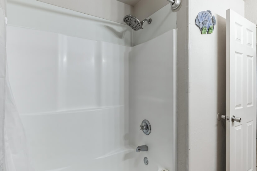 Step In Tub/Shower Combination