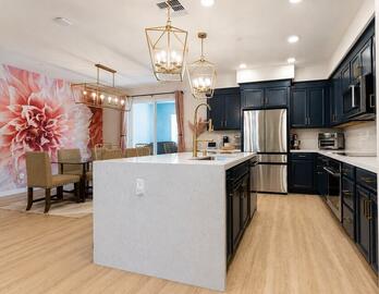 Kitchen and Dining Room