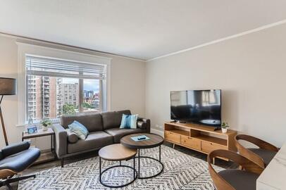 Modern, fully furnished living primary living area